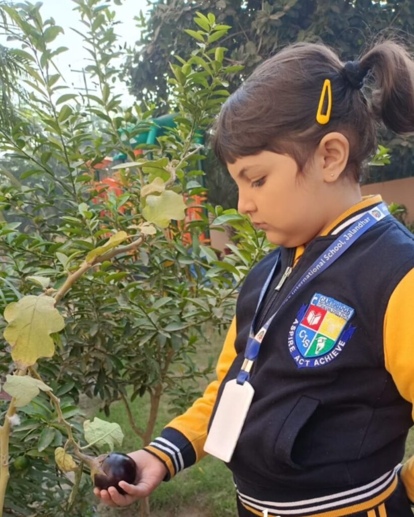 Our kindergarten explorers celebrated Soil Day by diving into the world of veggies through interactive fun and games. They got their hands dirty, learning about the importance of soil in growing fruits and veggies. By nurturing their curiosity, we're cultivating a brighter future for our planet.